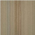 Shaw Contract Group Carpet Tiles (image 1)