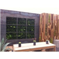 treebox 7