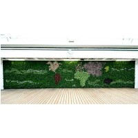 ans green wall
