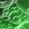 greenwash
